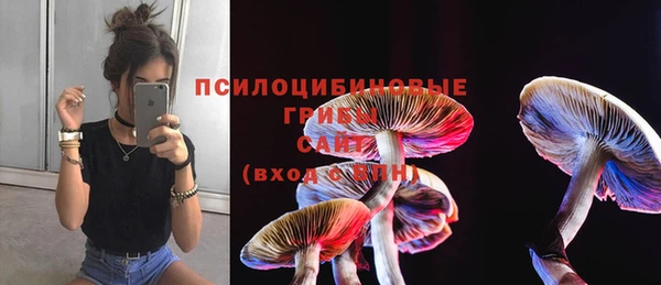 сатива Лиски