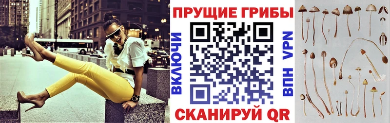 Псилоцибиновые грибы Psilocybine cubensis  где купить наркоту  Нижняя Тура 